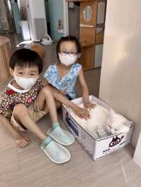 🐈貓貓可愛友善，可惜⋯「貓之茶房」