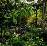 The Singapore Botanic Gardens