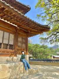 덕수궁 산책 🌿