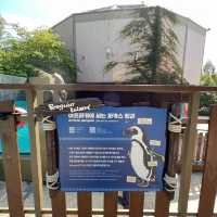 🇰🇷🎃🐧 Halloween at Penguin Island