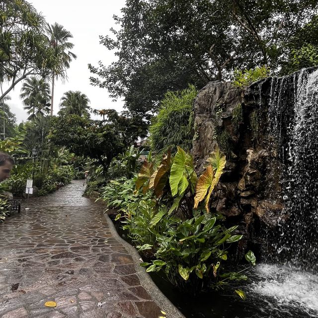 Rain forests amid skyscrapers 