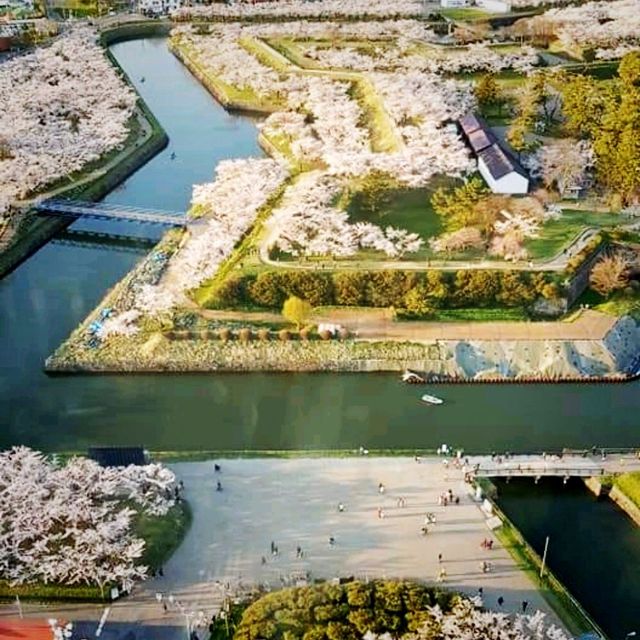 The View From Above, Goryokaku Tower