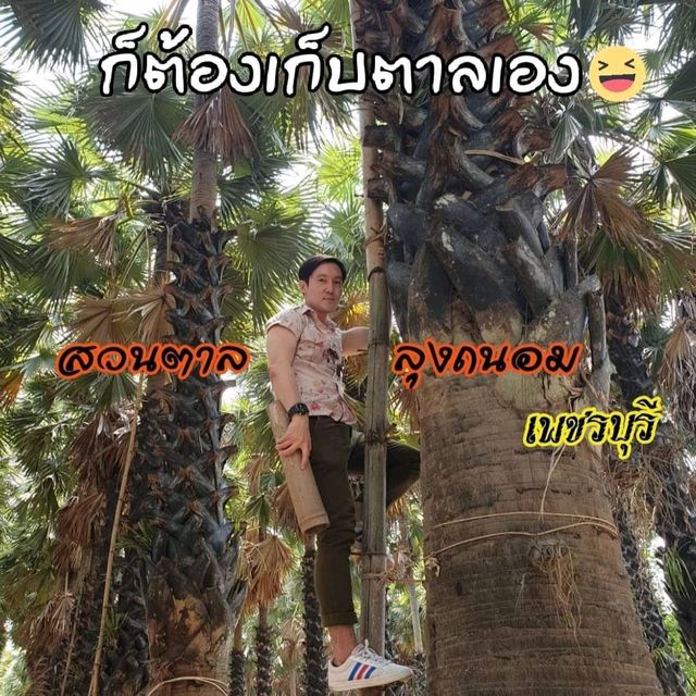 altTitle