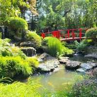 Nekoemon Cafe คาเฟ่สไตล์ญี่ปุ่นในเชียงใหม่