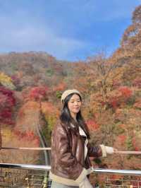 단풍여행에서 꼭 가야할 화담숲✨