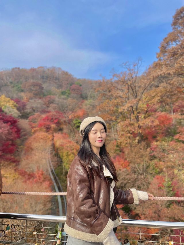단풍여행에서 꼭 가야할 화담숲✨