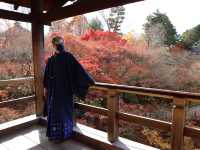 東福寺 · 紅葉