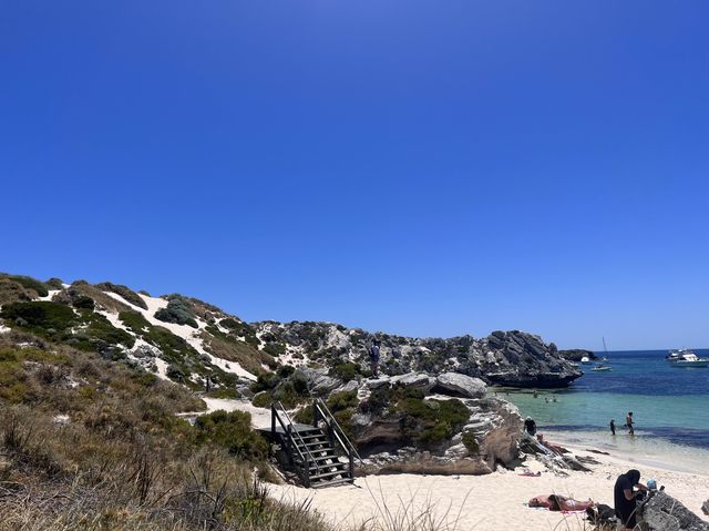 Rottnest Island! Parakeet Bay! 📸😎