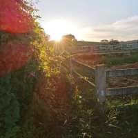 FarmFresh @ UPM