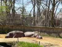 Toledo Zoo and Aquarium - Toledo, USA