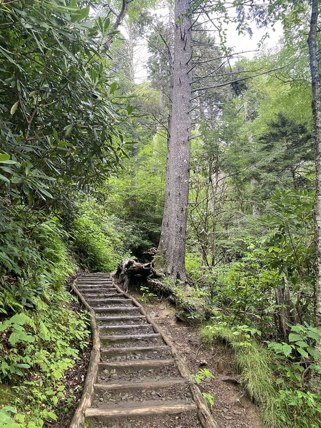 Chimney Top Trail - Smoky National Park