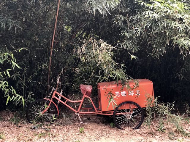 Lihu Lake Wuxi, China 无锡, 中国