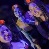 Mickey's not so scary Halloween party