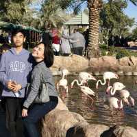 Al Areen Wildlife Park & Reserve