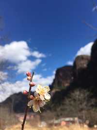 Amazing Lijiang - Laojun Mountain 