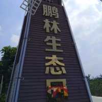  南沙鵬林生態園：上一堂農業課