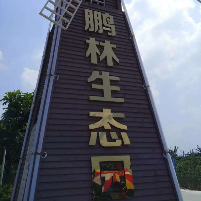  南沙鵬林生態園：上一堂農業課