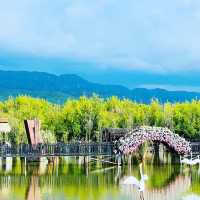 Horse Riding, Tea experience and Wetlands 