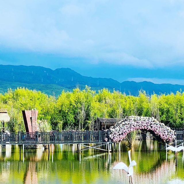 Horse Riding, Tea experience and Wetlands 