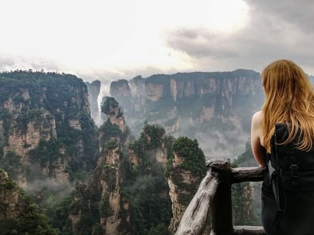 Baby Monkeys in the Avatar Mountains