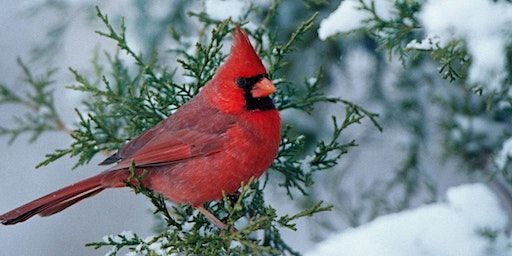 The Choirs at Phoenix College present "Holiday Memories" | First United Methodist Church