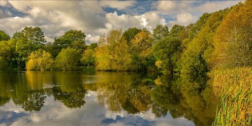 WDAA Junior Carp Challenge No. 1 | Ocean Pool