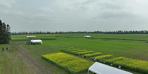 Crop Diagnostic School 2025 | Western Applied Research Corporation