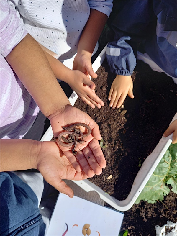 Wild Ed - Primary | Arboretum, Wardown Park