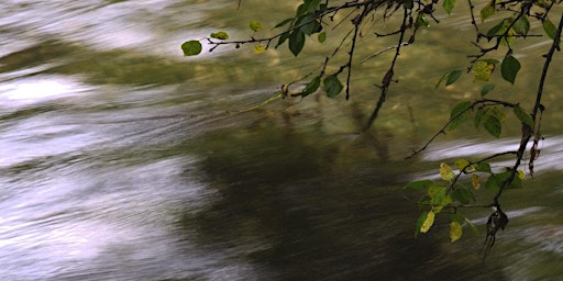 Afon (Deep Listening) film screening & risograph launch weekend | Abercych Village Hall