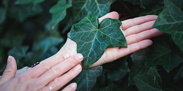 Nature Connection Specialist 2-day CPD training in Edinburgh | The Salisbury Centre