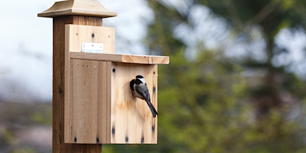Songbird Nest Box Building Workshop | USU Botanical Center, Wetland Discovery Point