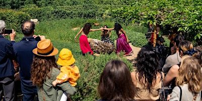 Roots To Rise Movement Workshop - Curve Theatre | Curve Theatre