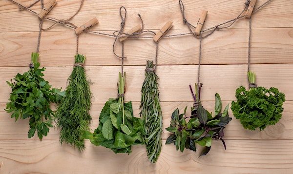 Herb Tying and Drying Workshop at Redhill Park | Redhill Park