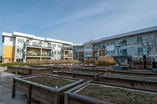 Applying for BC Housing: Information Session | REACH Child and Youth Development Society