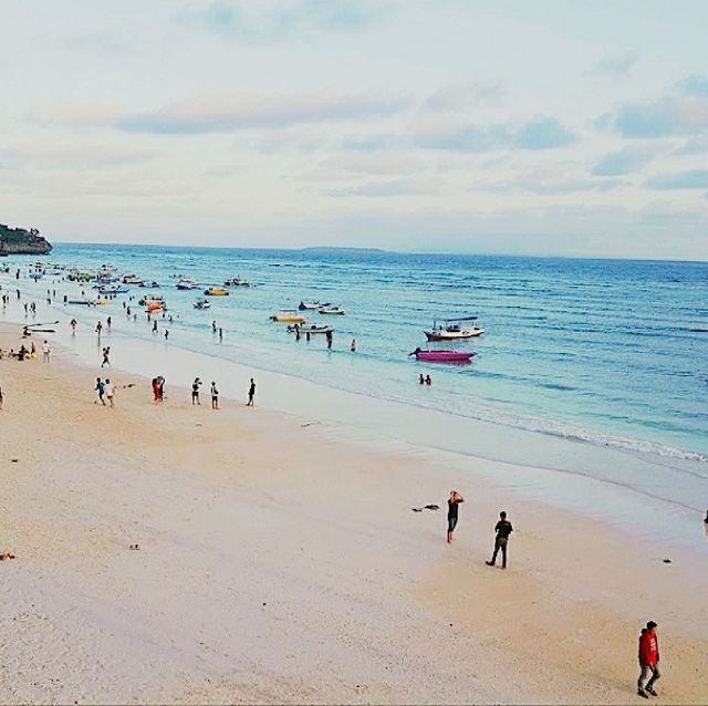 Panda Beach ll Panda Beach ll