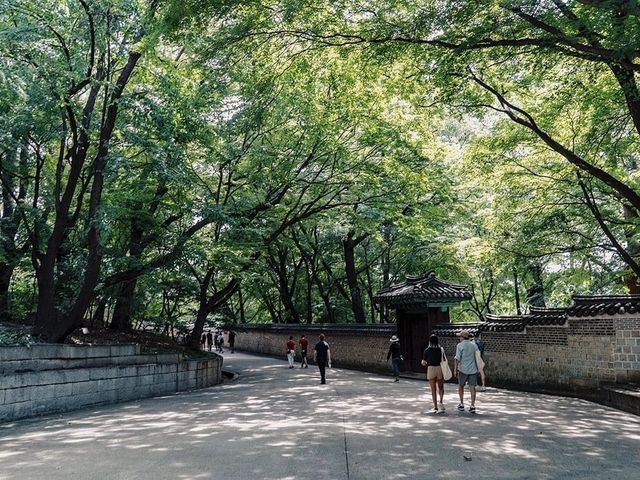 พระราชวังชางด๊อกกุง (Changdeokgung Palace)