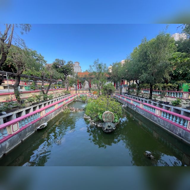 青松觀