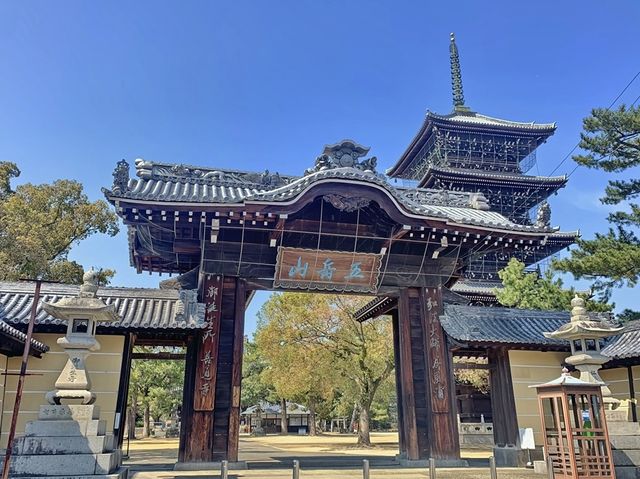 【香川】歴史ある伝統の寺