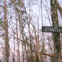 “ ห้วยต้นไฮ “🌲🌲🌲🌲🌲