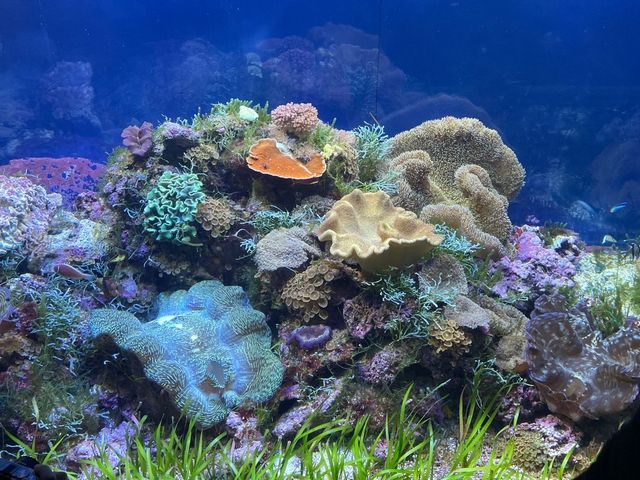 名古屋の水族館といえばココ🐠！【名古屋港水族館】