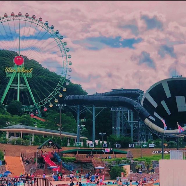 夏におすすめ