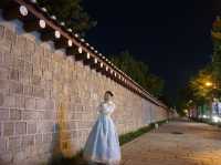 경복궁 별빛야행 야간관람 🏰🌙