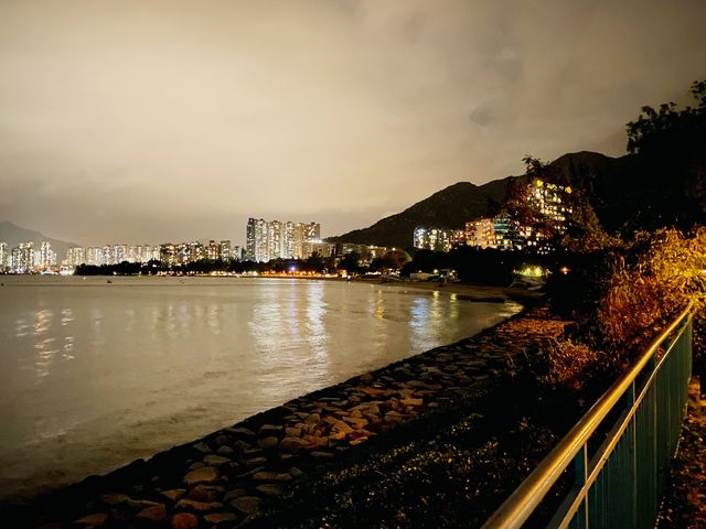 夜遊海豚廣場