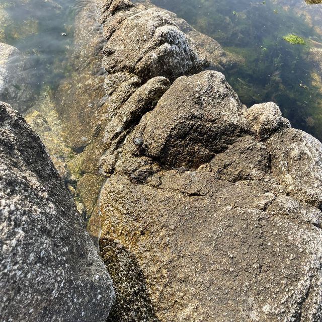 강릉에서 아빠랑 바다낚시하기 🌊🐟