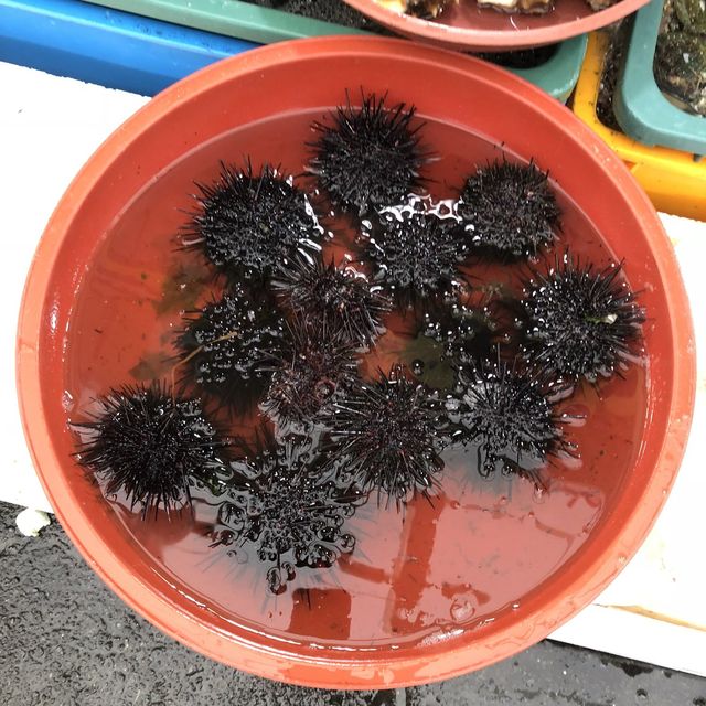 여수 교동시장, 싱싱한 해산물을 저렴한 가격에 득템!!