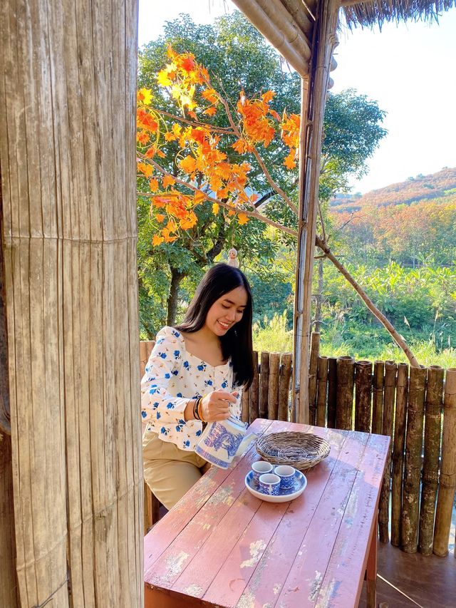 พาเธอมาหลงไร่.. 🌴🌳