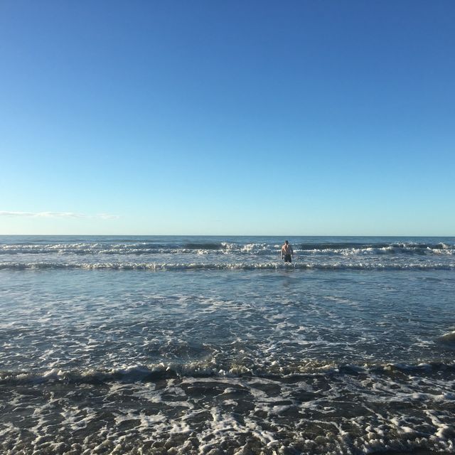 뉴질랜드 남섬 래빗아일랜드🐇🏖