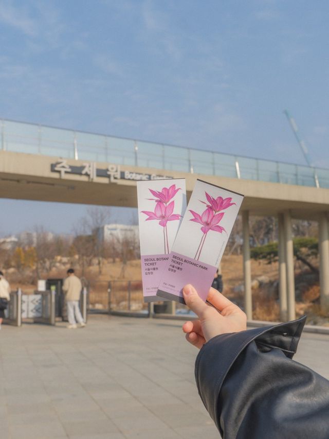 비 오는 날 즐기기 좋은 실내데이트, 서울식물원🌿