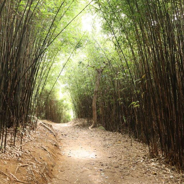 超級輕鬆行山路線