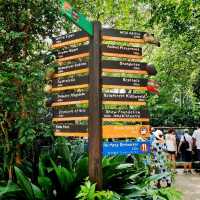 Singapore Zoo Expedition Trip